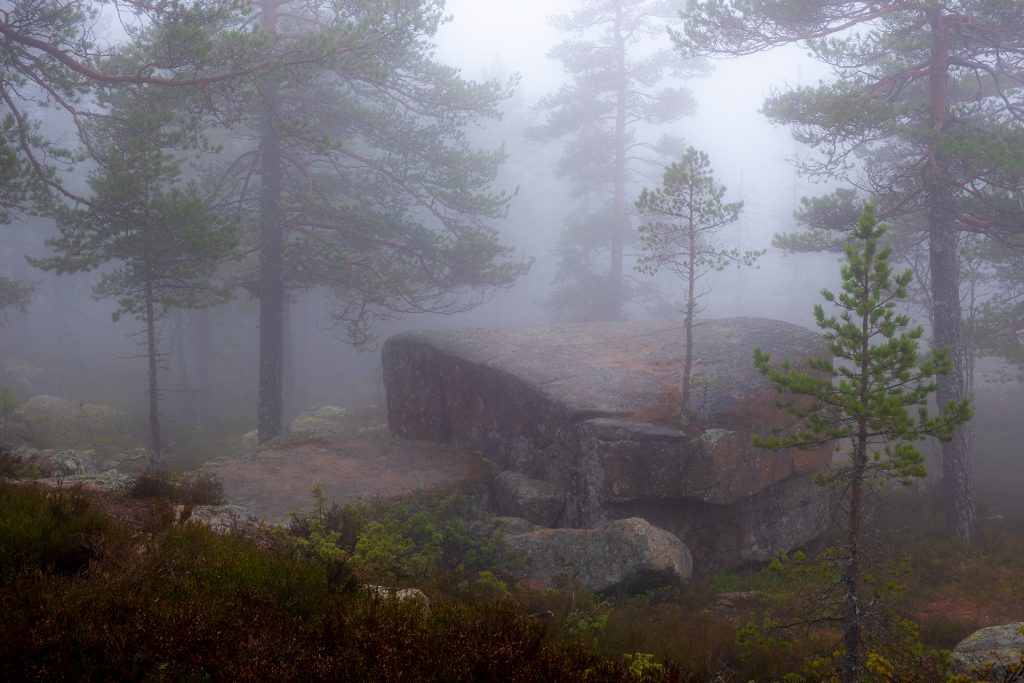 Skulskogens
