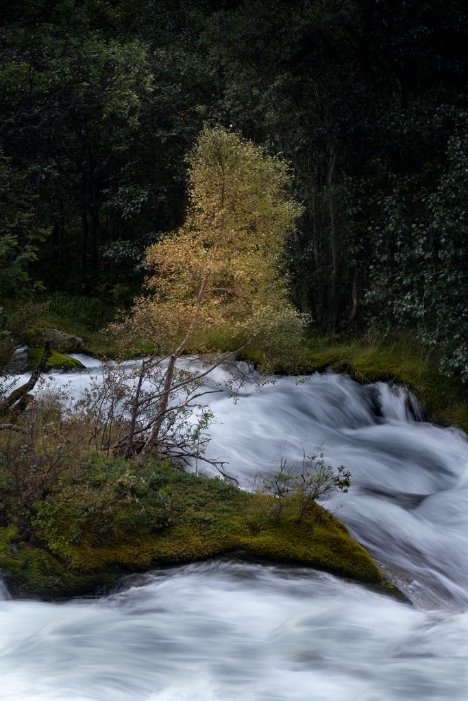 Briksdal